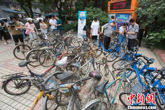 市民将废旧自行车摆放在一起，换取单车免费骑行券。　泱波 摄