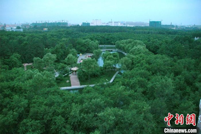 黑龙江40年义务植树28亿株森林蓄积已达22.4亿立方米